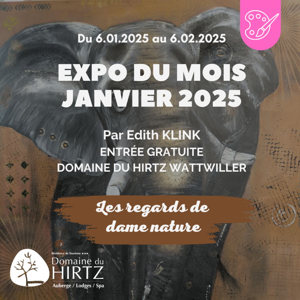 EXPO DU MOIS Janvier 2025 – «Les regards de Dame Nature» par Edith Klink